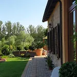 Vigneto