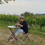 Vigneto San Marzano Oliveto