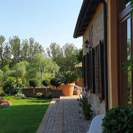 Vigneto