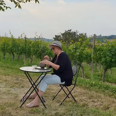 Vigneto San Marzano Oliveto