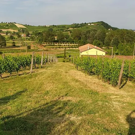 Vigneto Nocleg ze śniadaniem San Marzano Oliveto