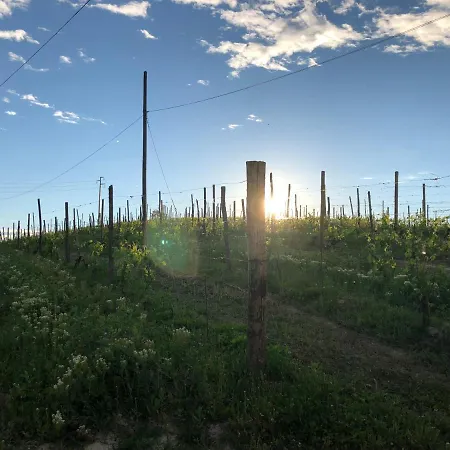 Vigneto Oda ve Kahvaltı