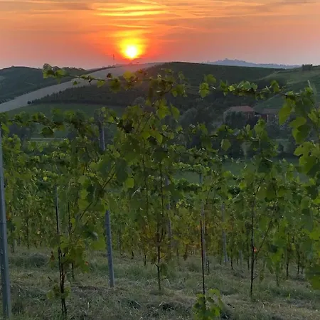 Vigneto Nocleg ze śniadaniem