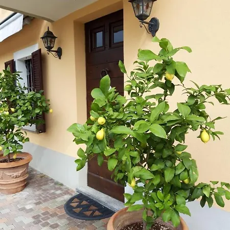 Vigneto 4* San Marzano Oliveto