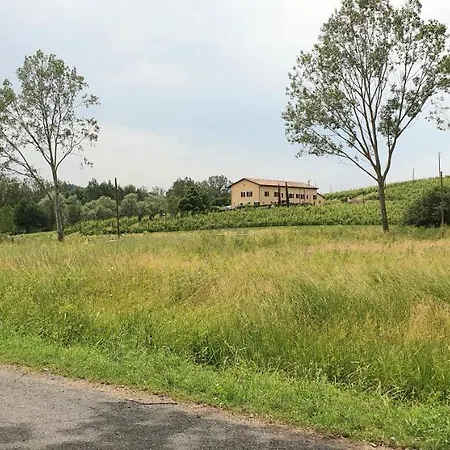 Vigneto 4* 산마르자노올리베토