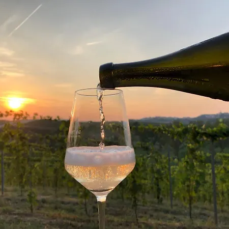 Nocleg ze śniadaniem Vigneto San Marzano Oliveto