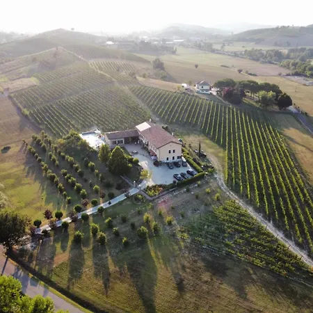 Vigneto 4* San Marzano Oliveto