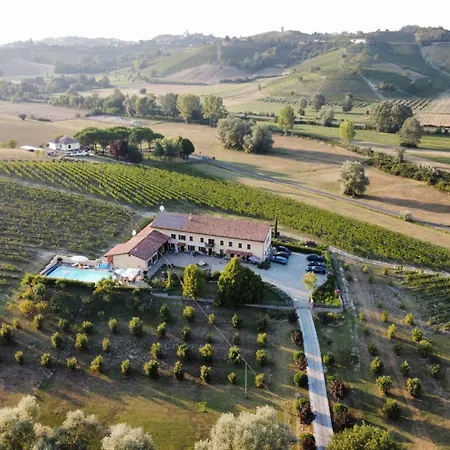 Vigneto