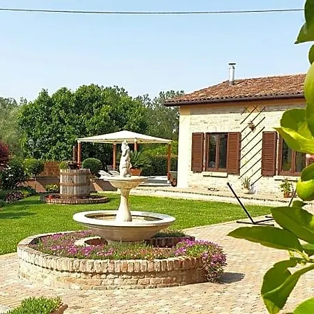 Vigneto לינה וארוחת בוקר San Marzano Oliveto