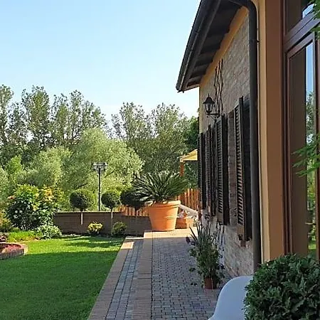 Vigneto 4* San Marzano Oliveto
