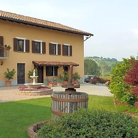 Vigneto San Marzano Oliveto