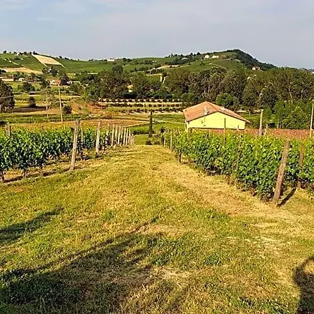 לינה וארוחת בוקר Vigneto 4*