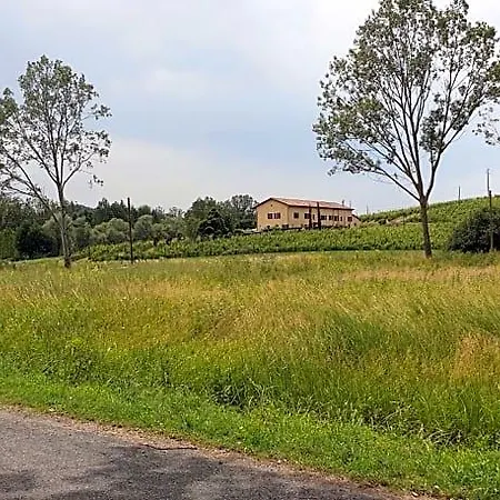 Vigneto Bed & Breakfast San Marzano Oliveto
