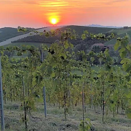 Bed & Breakfast Vigneto San Marzano Oliveto