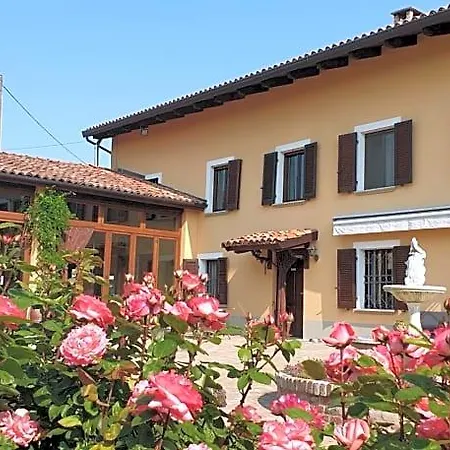 Vigneto San Marzano Oliveto