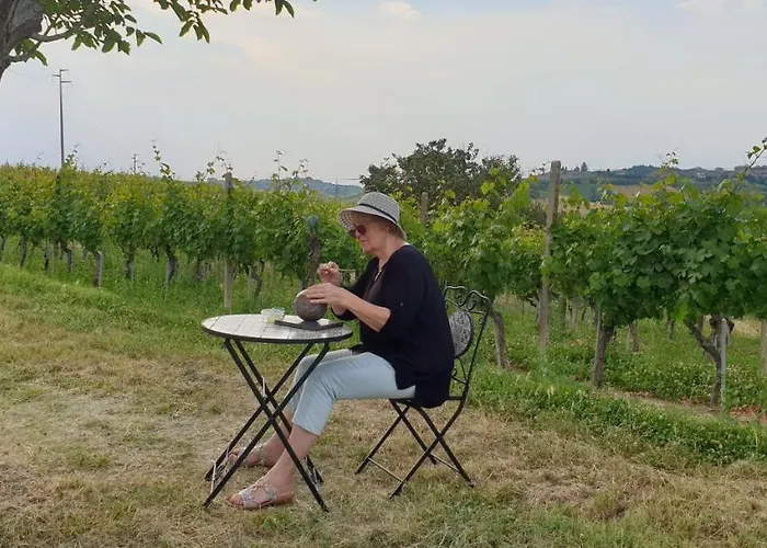 Vigneto San Marzano Oliveto