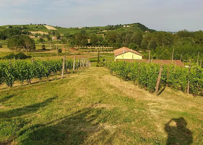 Vigneto 住宿加早餐酒店 San Marzano Oliveto