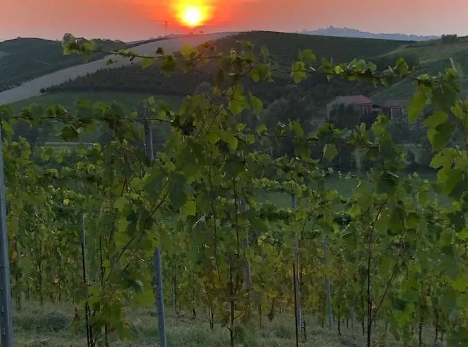 Vigneto Bed & Breakfast