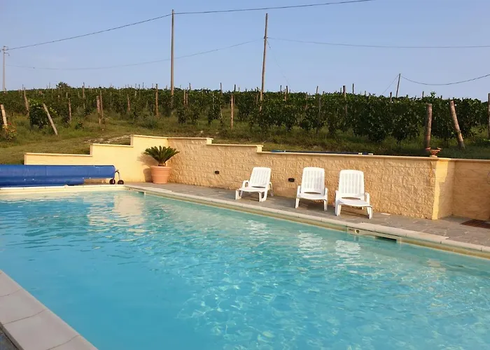 Vigneto 4* San Marzano Oliveto