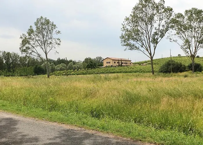 Vigneto 4* San Marzano Oliveto