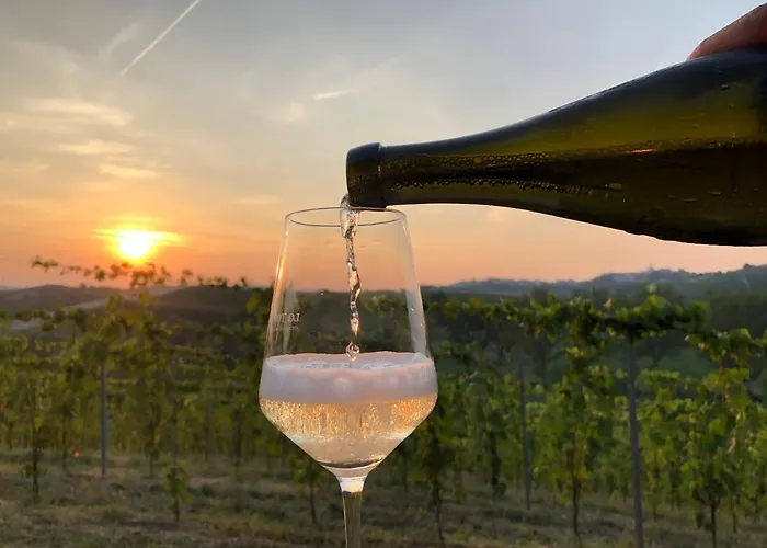 Bed & Breakfast Vigneto San Marzano Oliveto