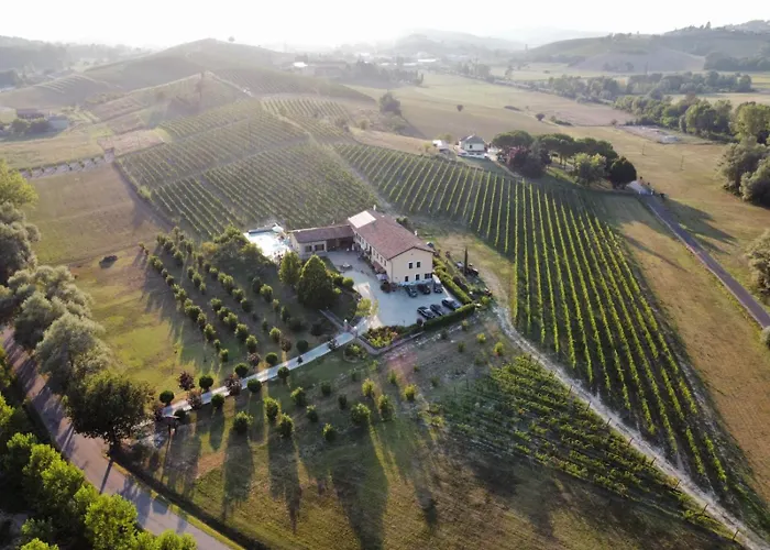 Vigneto 4* San Marzano Oliveto